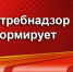 Рекомендации по покупке бахчевых культур - Черноморский район