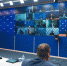 На выборы в Госдуму «Единая Россия» намерена серьезно обновить состав кандидатов - Единая Россия