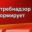 Меры профилактики отравлений грибами - Черноморский район