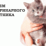 31 августа — День ветеринарного работника - Газета Черноморские известия