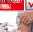 О ВАКЦИНАЦИИ  ПРОТИВ ГРИППА - Газета Черноморские известия