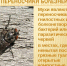 РОСПОТРЕБНАДЗОР ИНФОРМИРУЕТ - Газета Черноморские известия