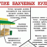 Рекомендации  по выбору бахчевых культутр - Газета Черноморские известия