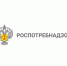Меры профилактики природно – очаговых инфекций - Газета Черноморские известия